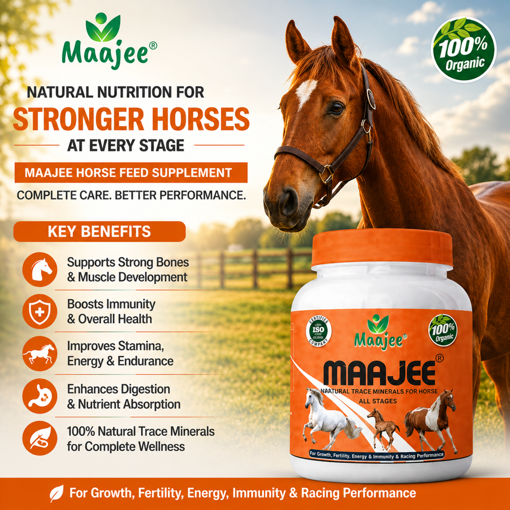 Horse Feed Supplements