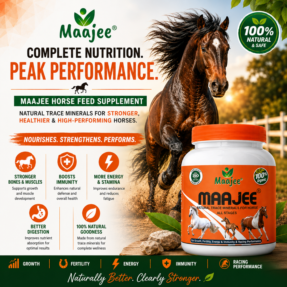 Horse Feed Supplements