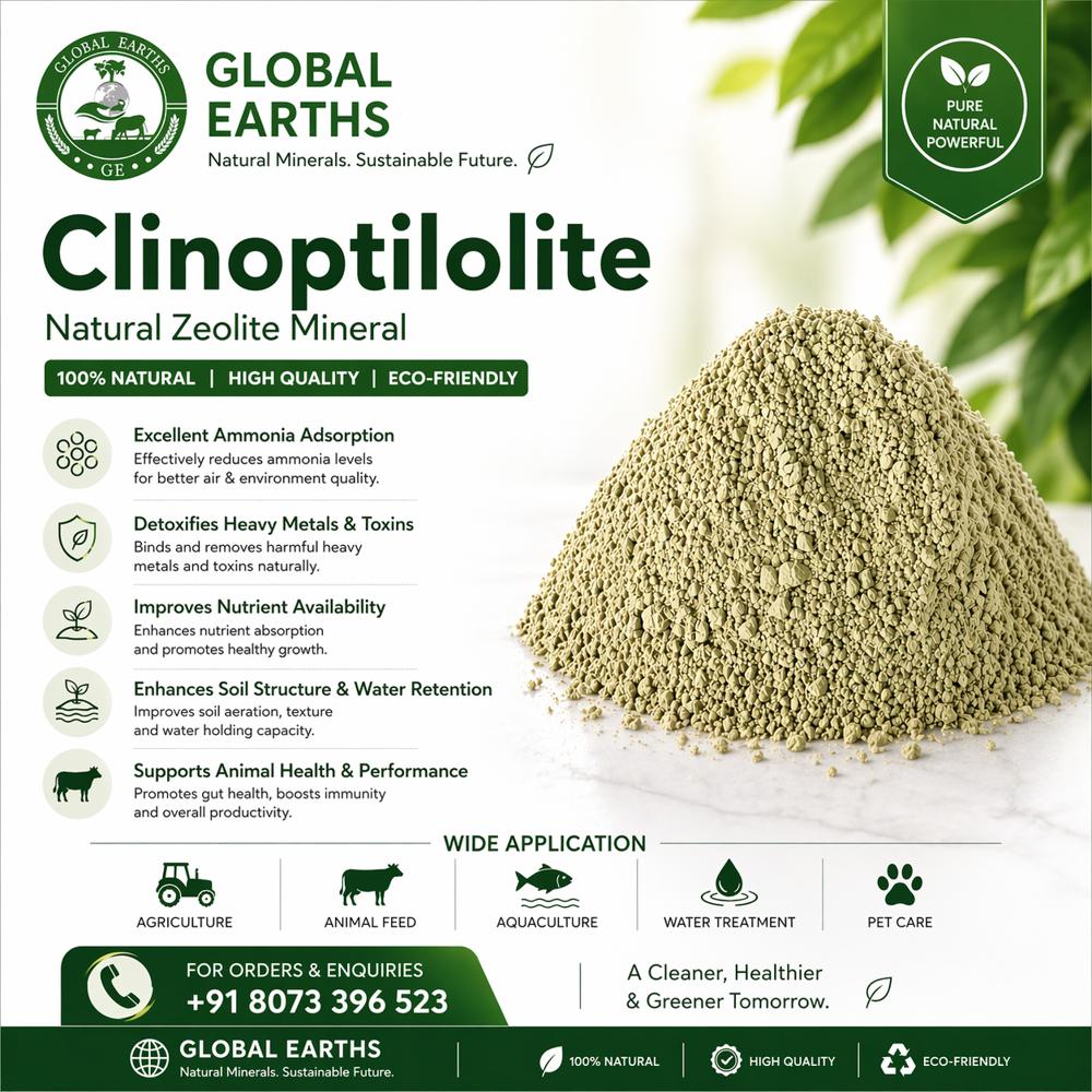 Natural Clinoptilolite Powder