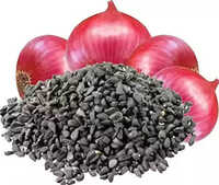 Onion Seeds
