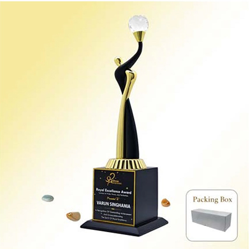 WM-9263 Wood And Metal Trophy