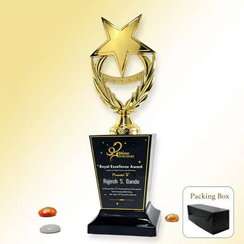 WM-9261 Wood And Metal Trophy