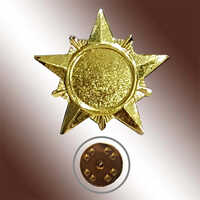 BG-207 Badges