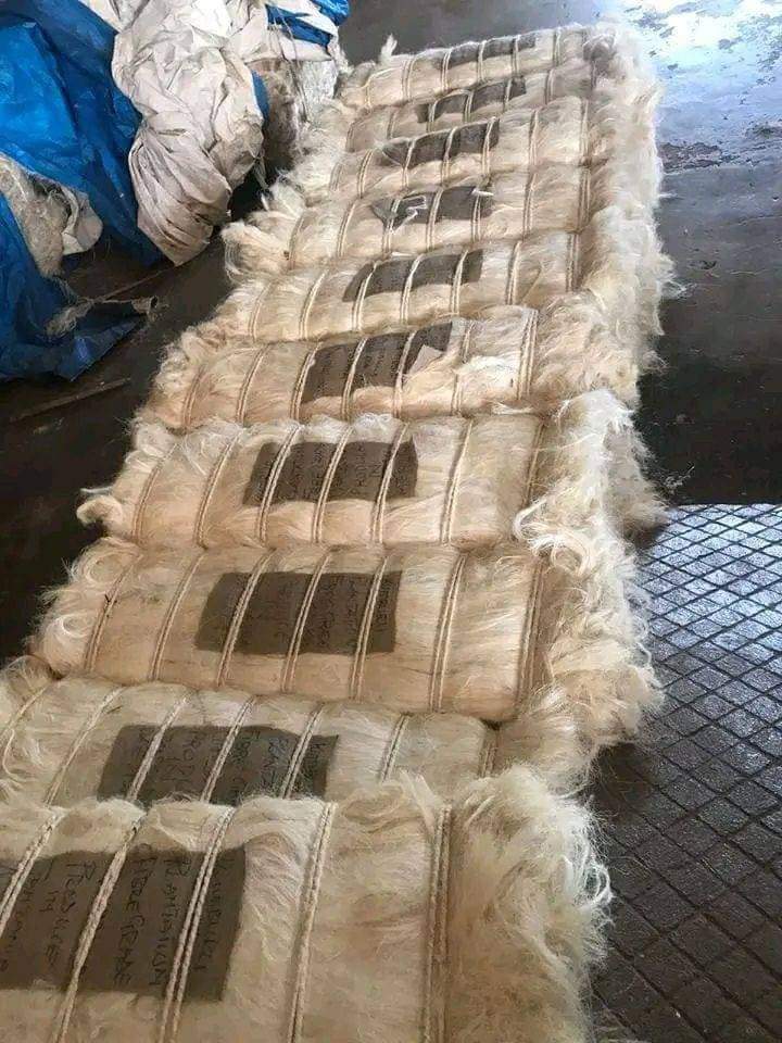 UG grade sisal fiber