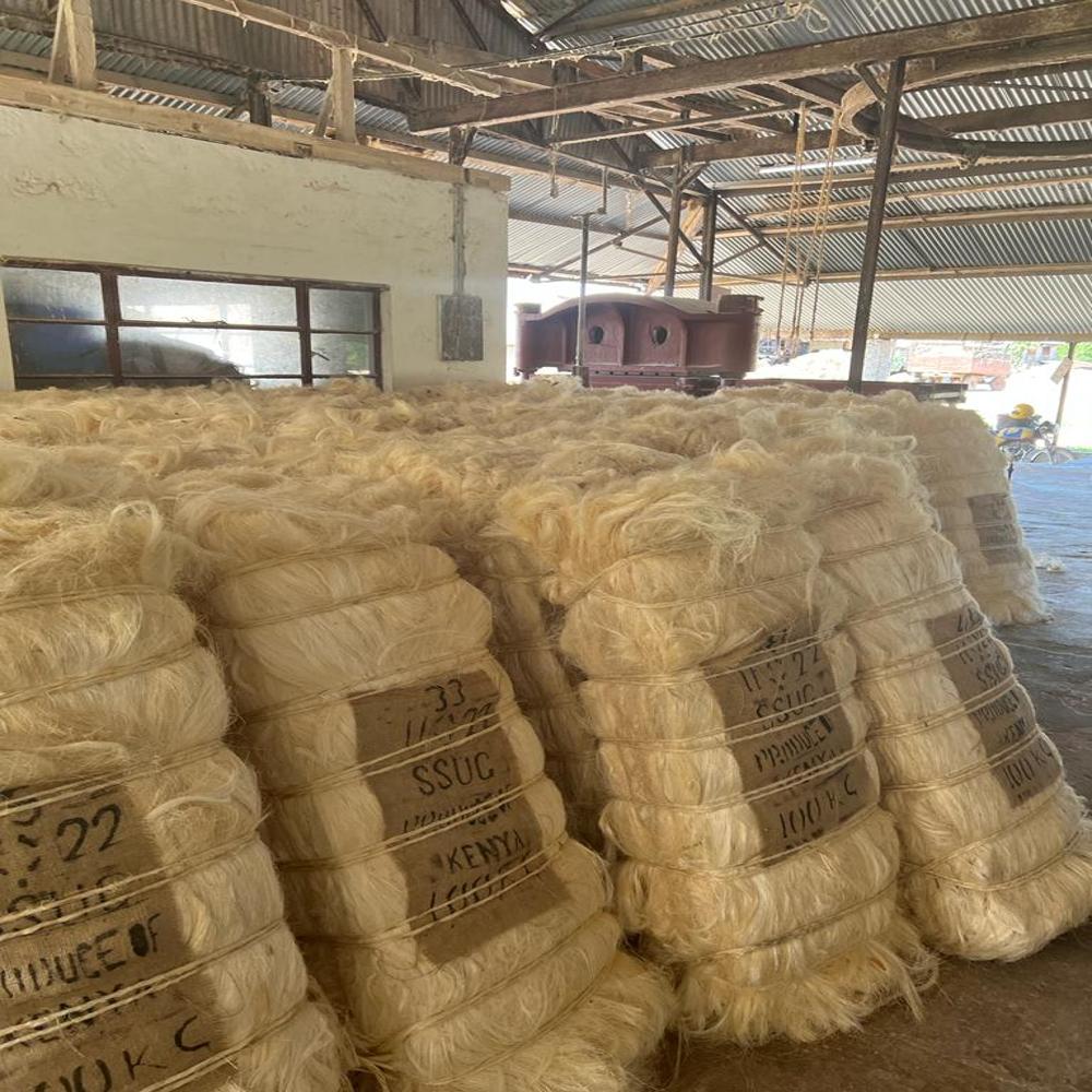 UG grade sisal fiber
