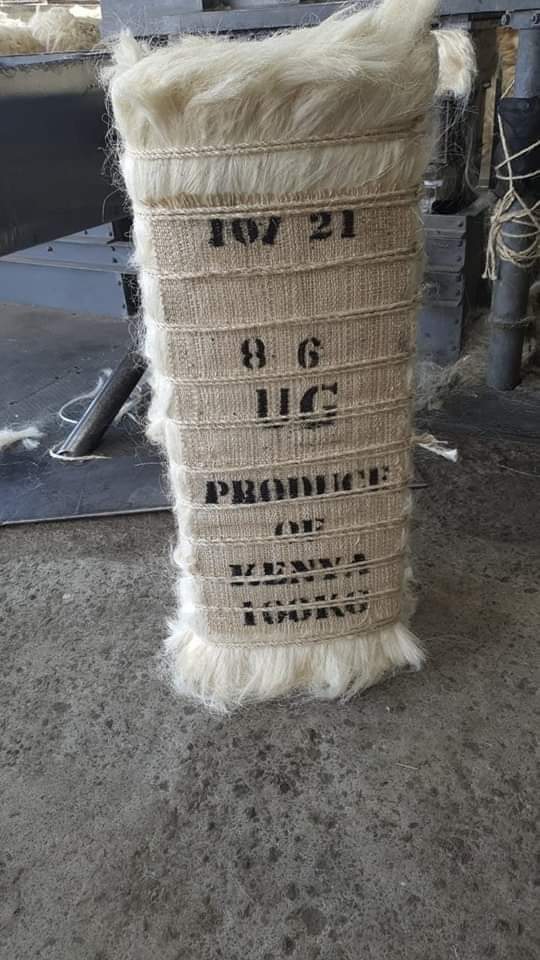 Natural Sisal Fibers in Bales