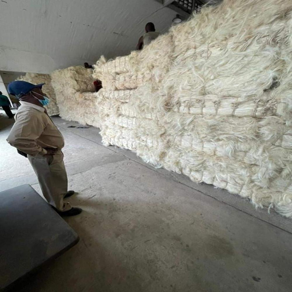 Sisal Fiber Bleached White 100% Natural
