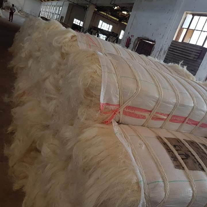 Sisal Fiber Bleached White 100% Natural