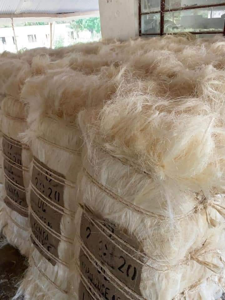 UG GRADE SISAL FIBER
