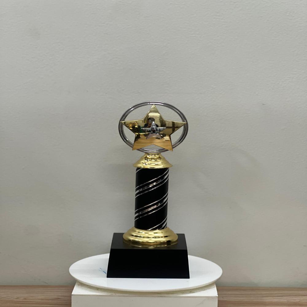 Star metal  Award