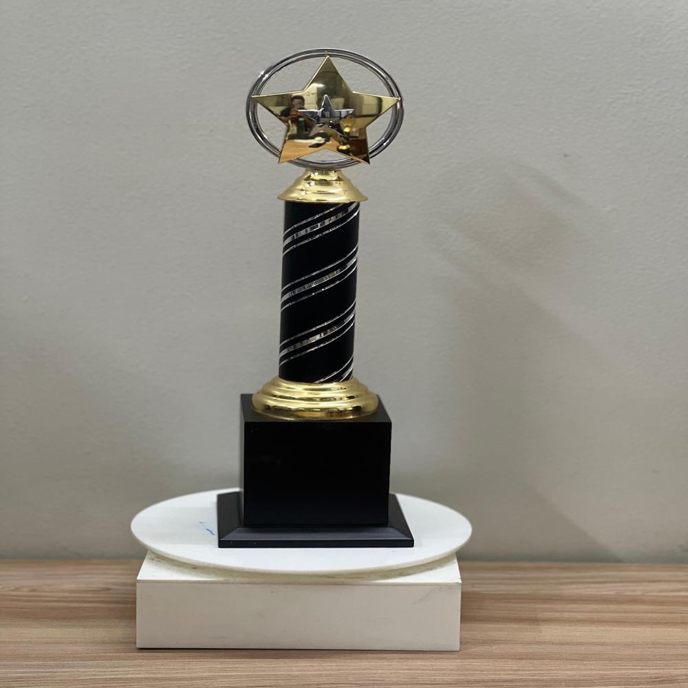 Star metal  Award