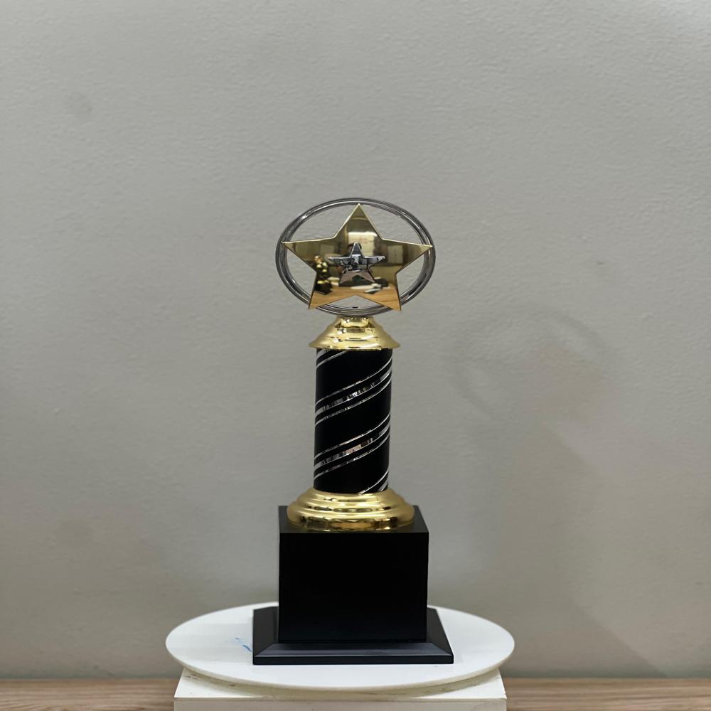 Star metal  Award
