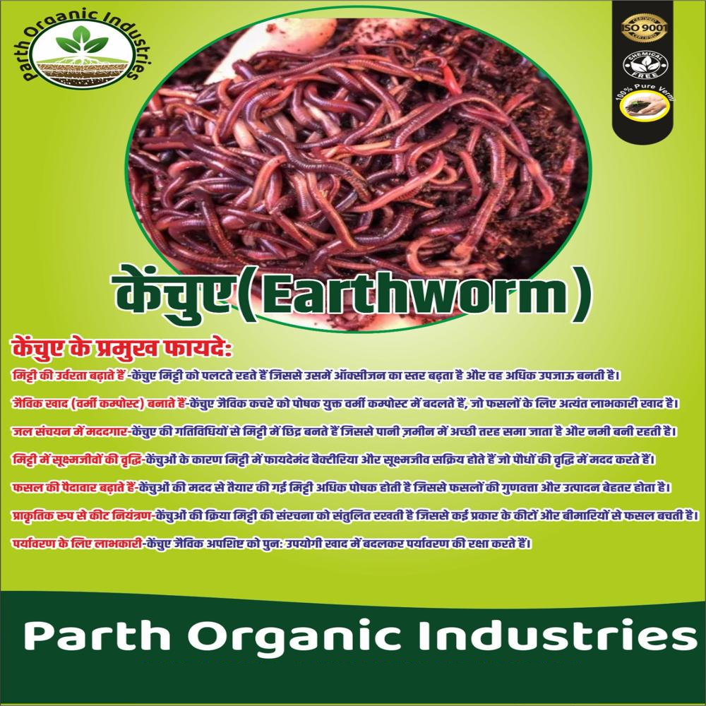 Earth Worm Vermicompost - Application: Agriculture