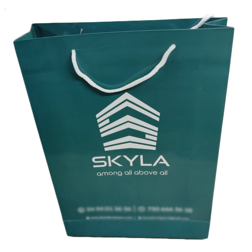 Paper Carry Bag