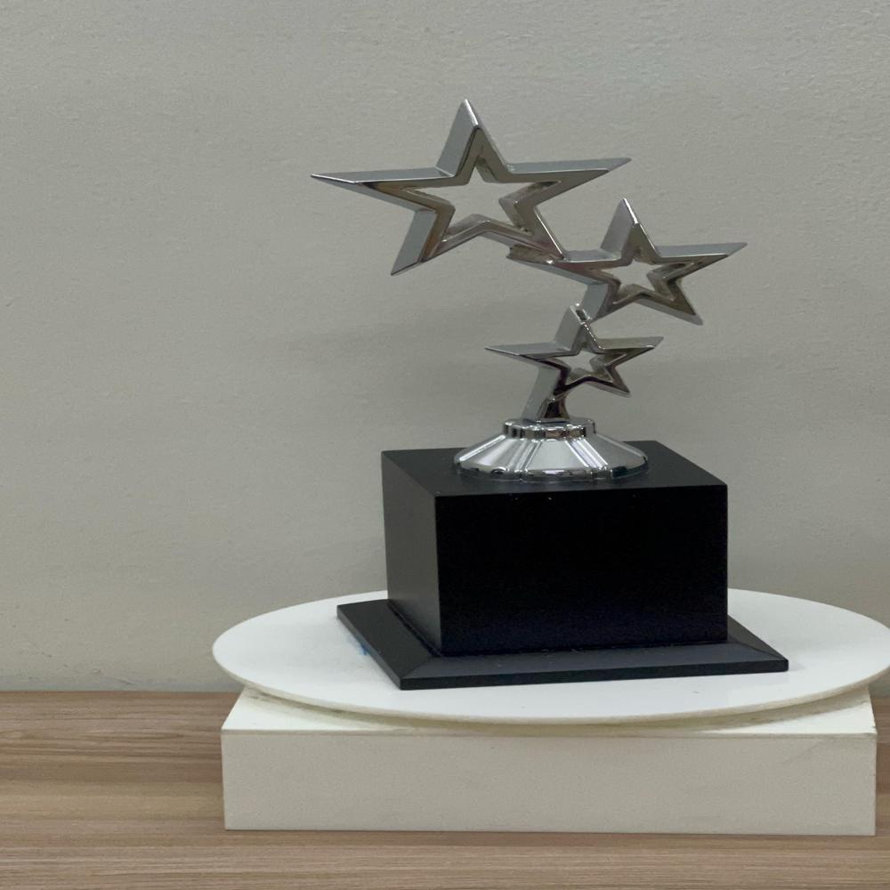  Star Metal Trophy