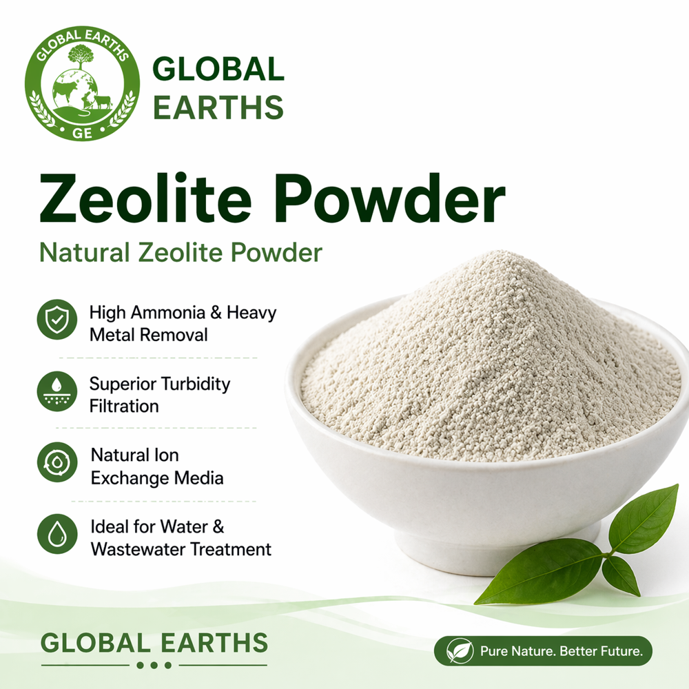 Zeolite Powder