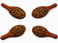 Coriander Seeds
