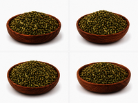 Fennel Seeds