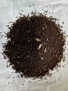 Chandni Elachi Tea