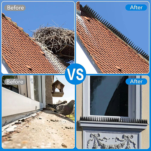 Sealplus Anti Bird Net Installation Service