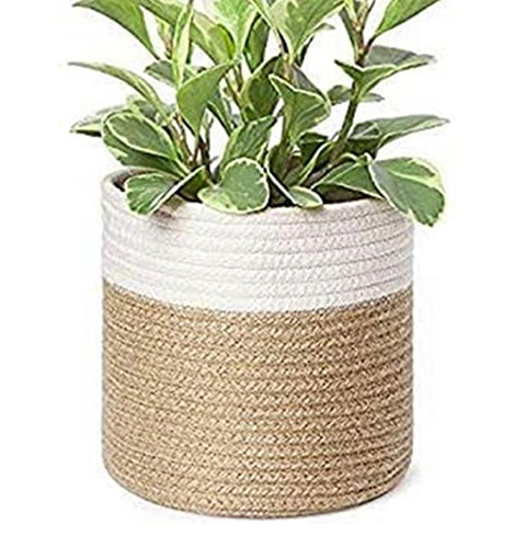 Flower Pot