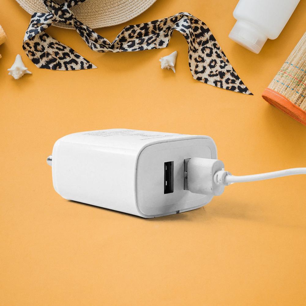 iBall Dual USB Wall Charger 5V/3.1A  High-Speed Dual Port Fast Charging (1 Pc)