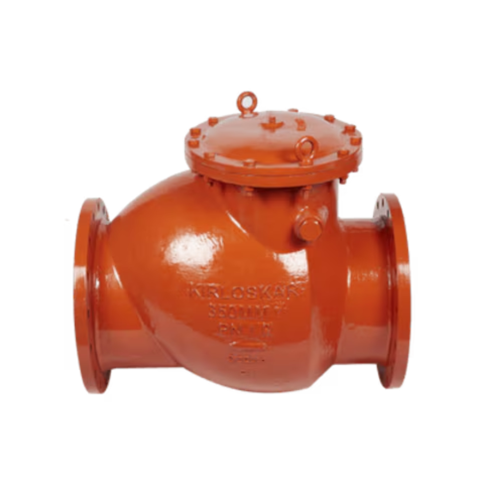 Reflux Valve - Application: Industrial