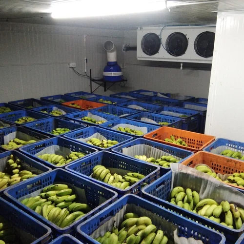 Blue Star Cold Storage Room