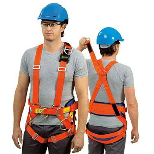 Body Harness