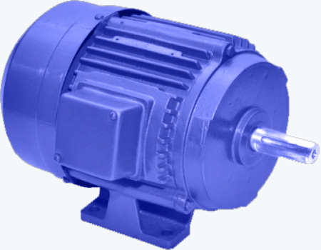 Three Phase Induction Motor