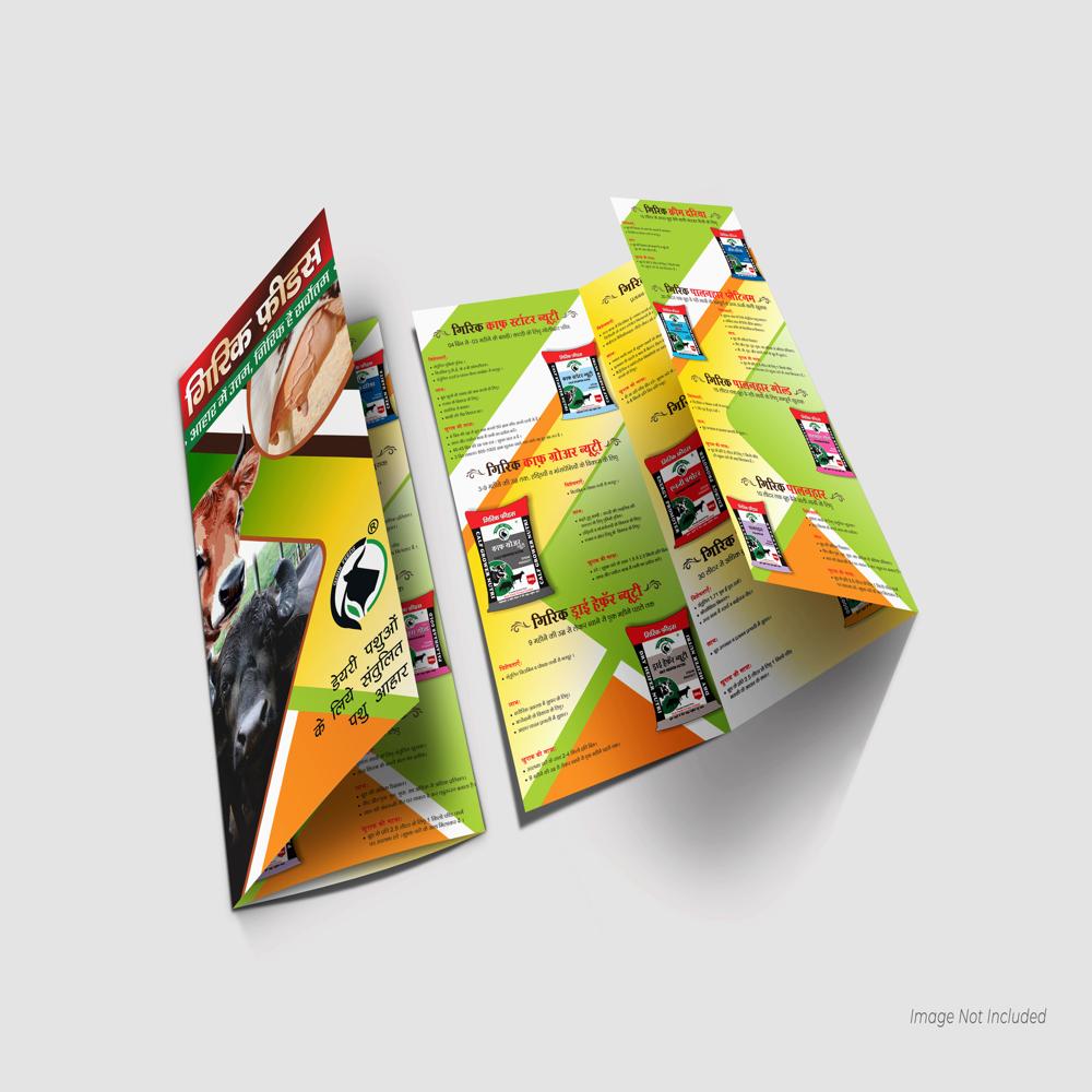 Brochure and Catalogue