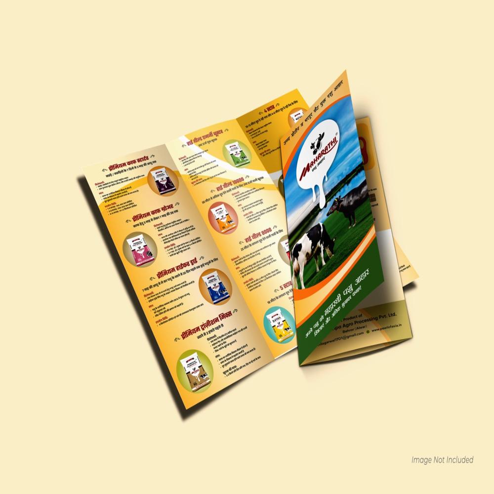 Brochure and Catalogue