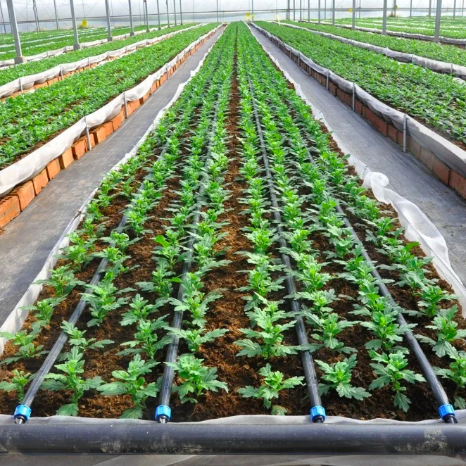 Drip Irrigation System