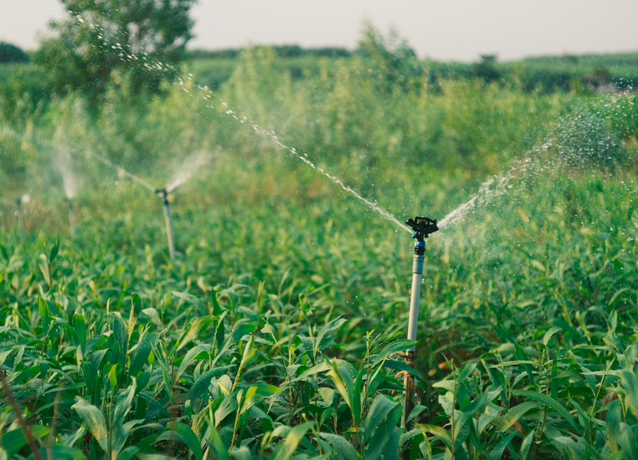 Irrigation System