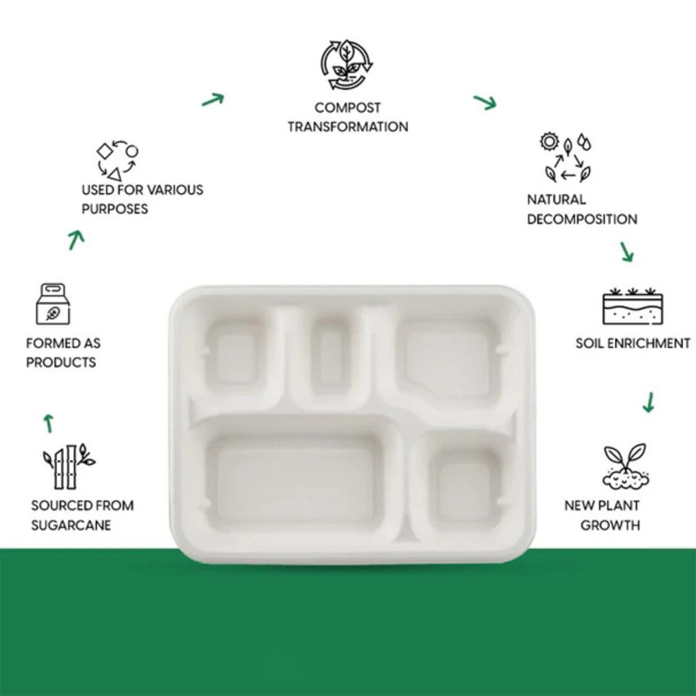 5-Compartment Rectangle Lunch Compostable Bagasse Plate  10 Pcs Pack