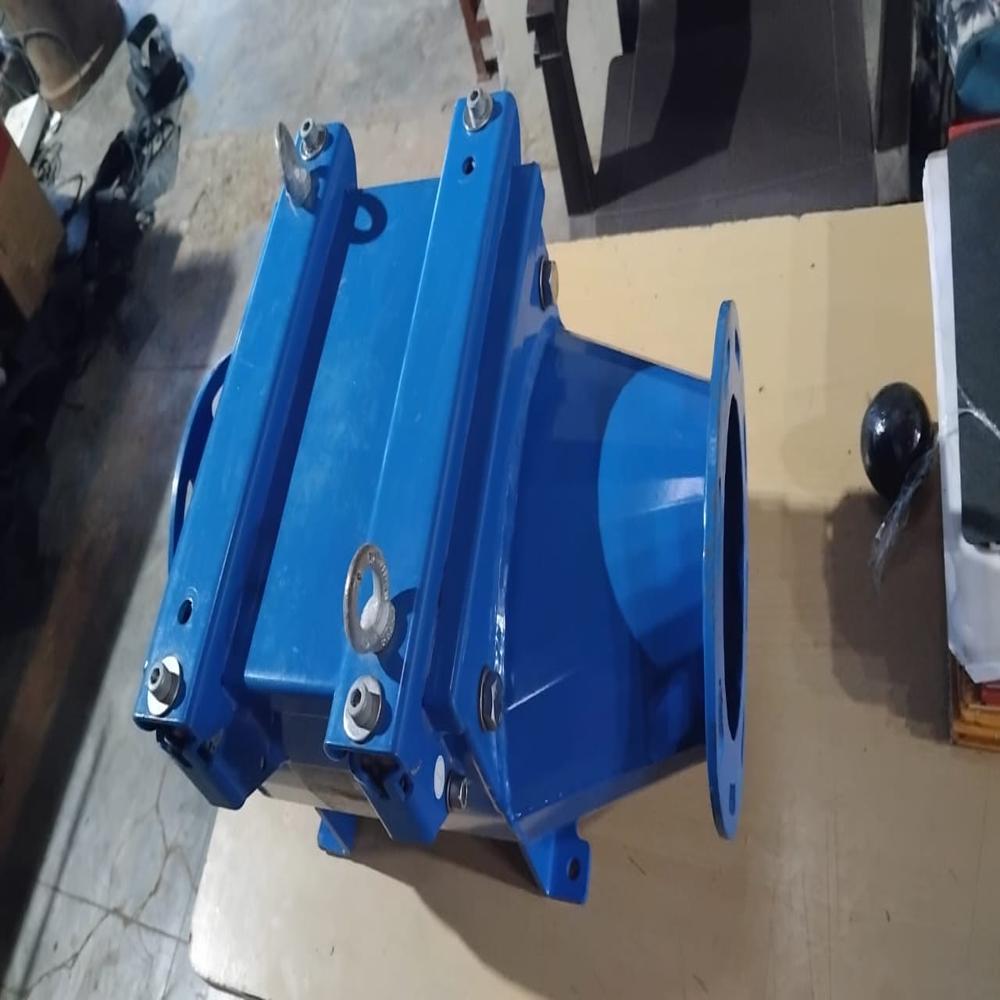 Redex Flap Valve