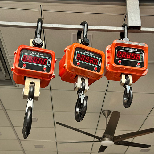 Crane Scale