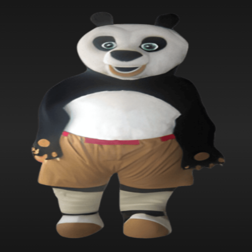Kung Fu Panda Dress