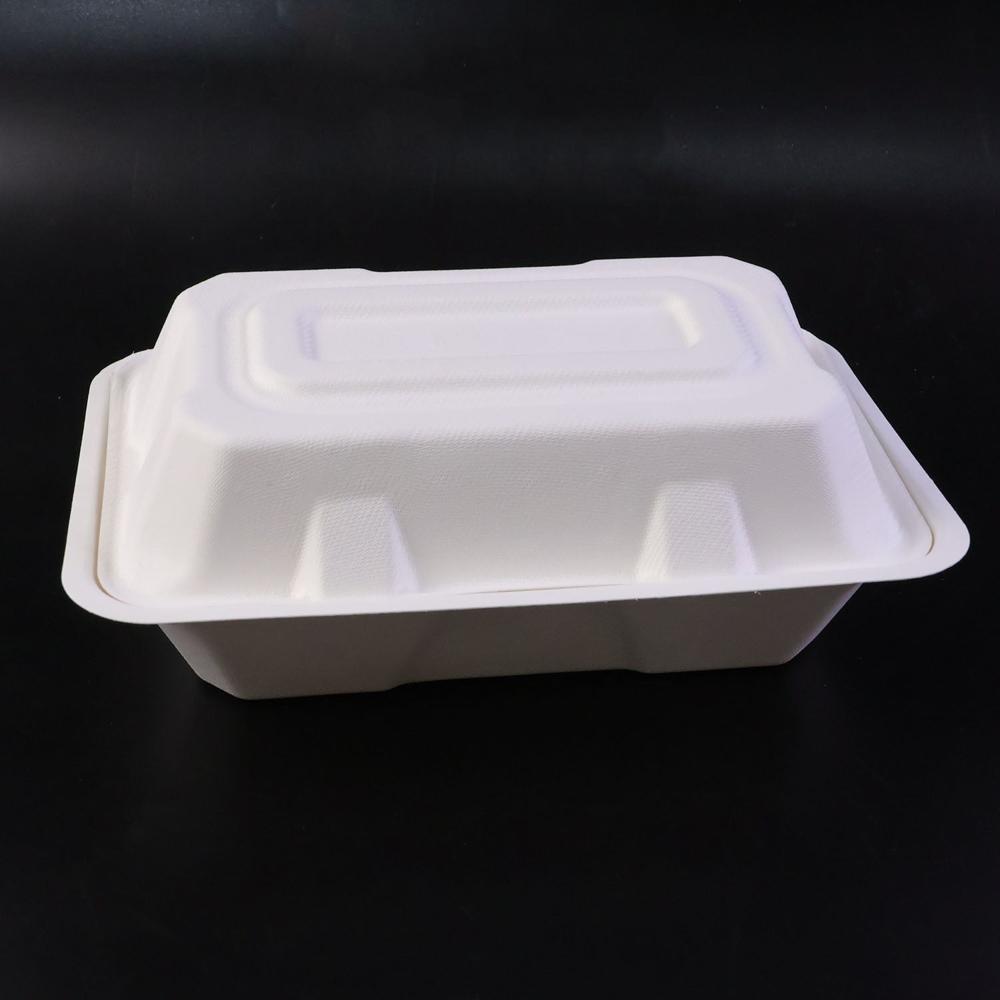 Vegnar Premium Bagasse Clamshell Food Box (10 Pc 9X6 Inch) - Color: Mix