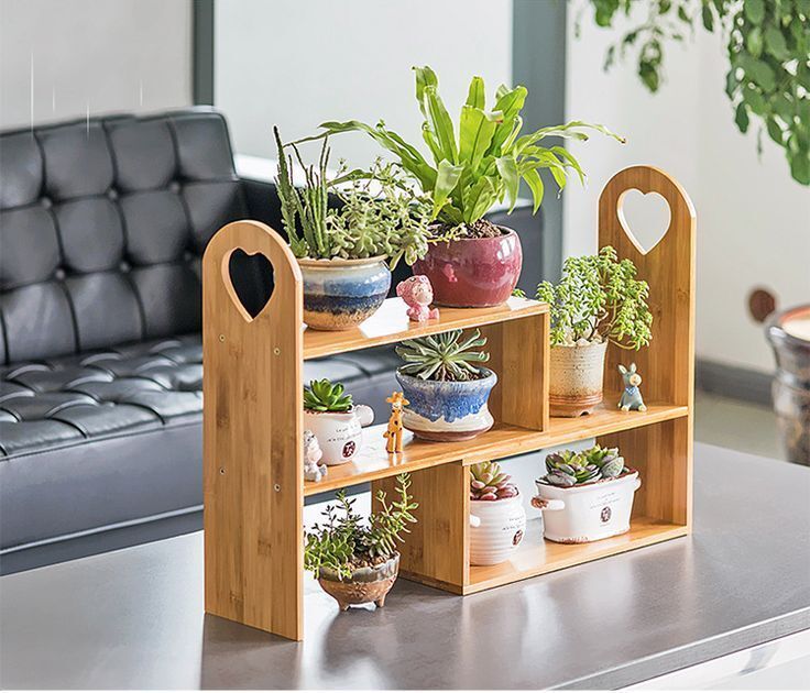 Plants Wooden Display Stand