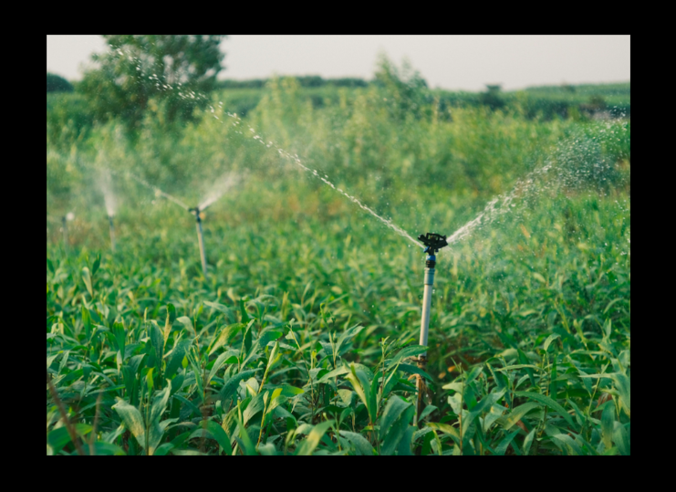 Irrigation System