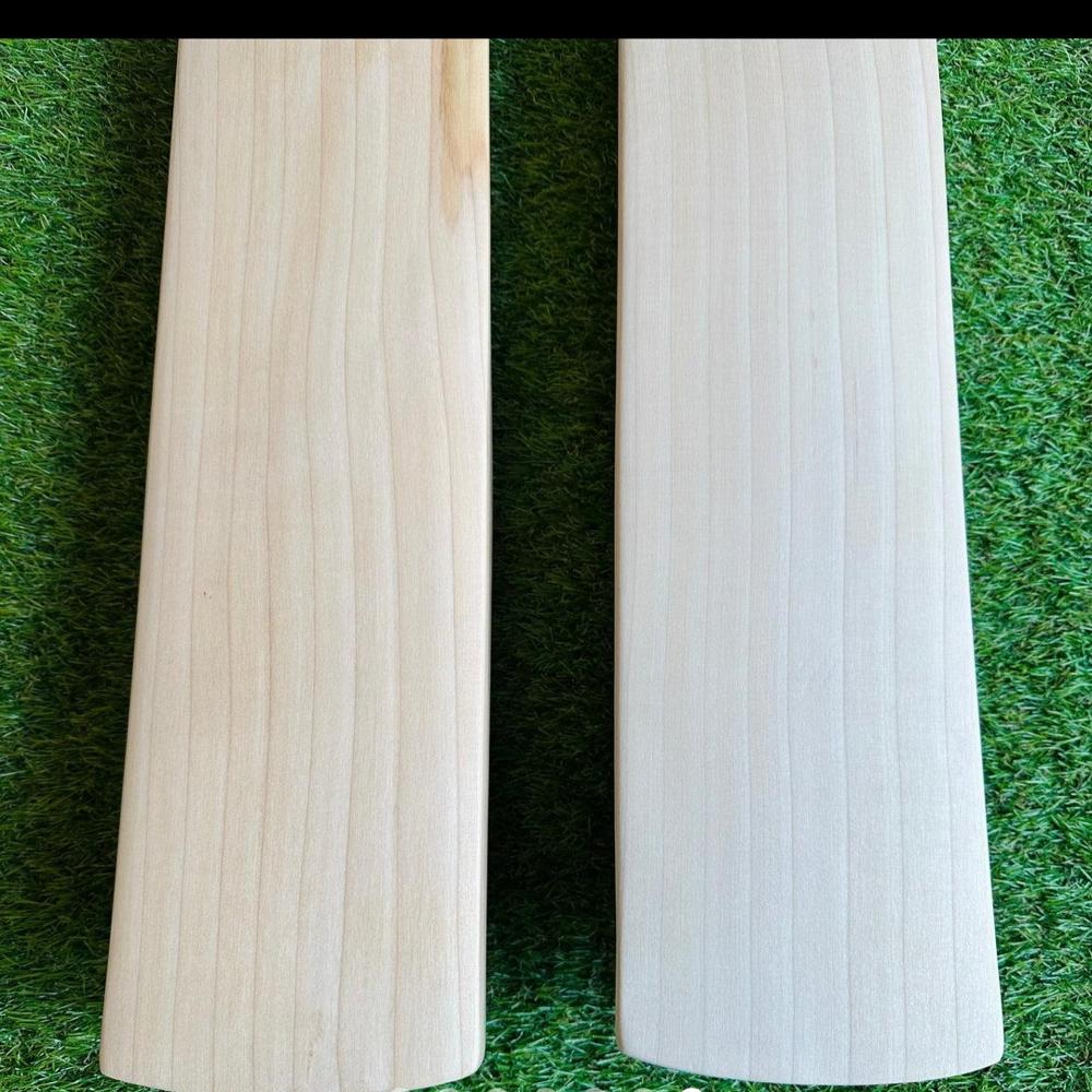 English Willow Bat