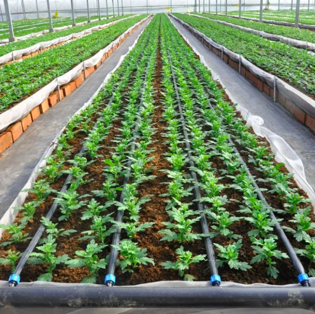Drip Irrigation System