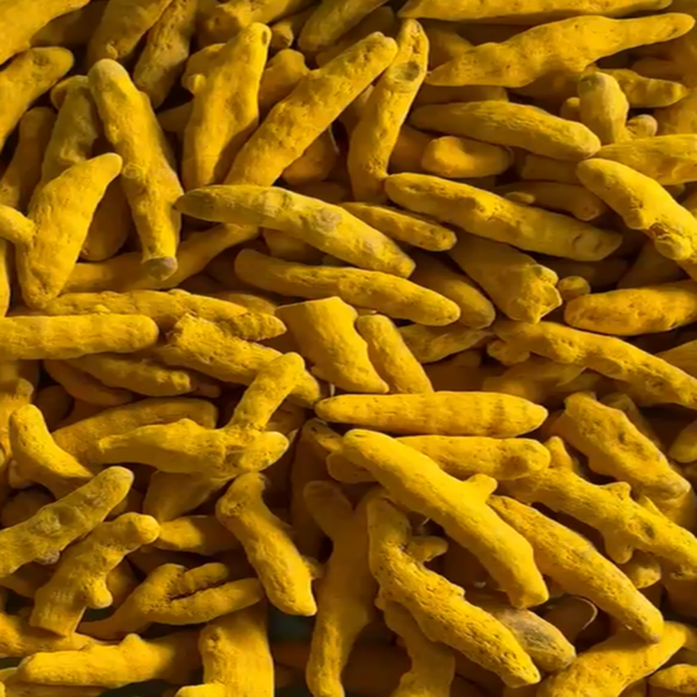 Turmeric Food grade
