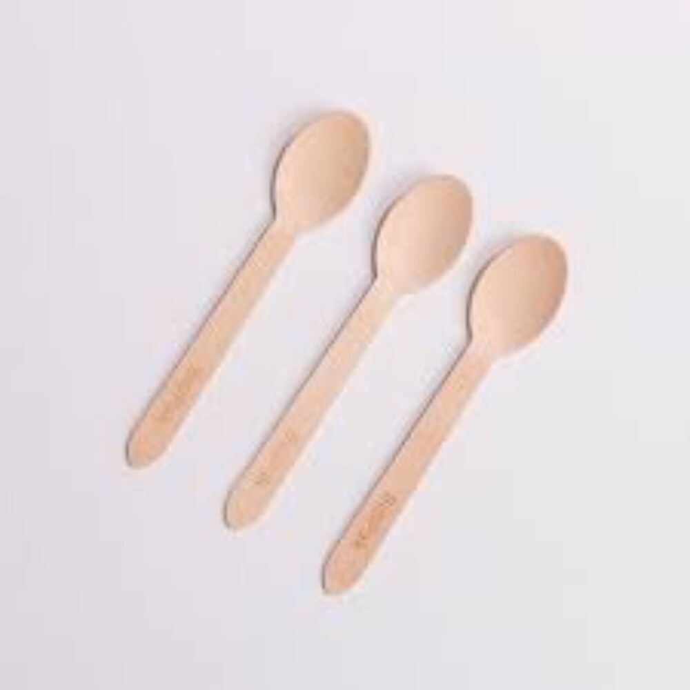 Biodegradable Spoon