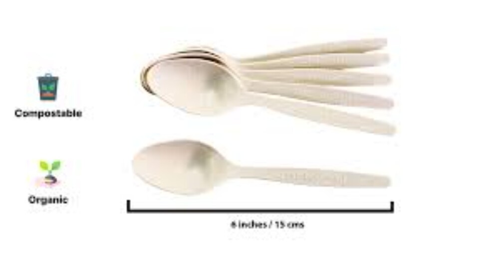 Biodegradable Spoon