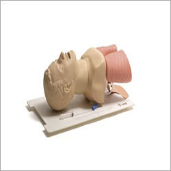 Airway Management Trainer