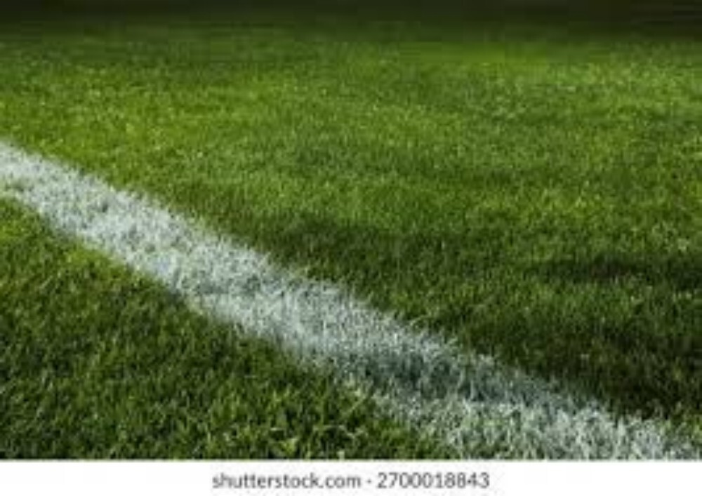 Football Ground Natural Grass