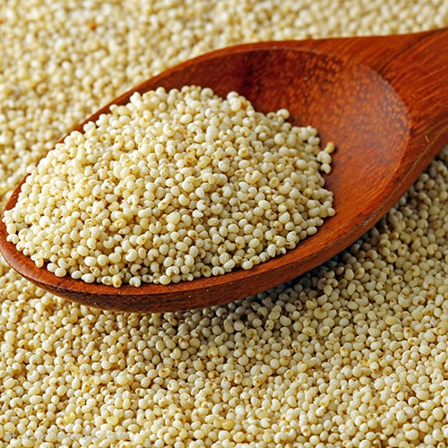Poppy Seeds(Khus Khus)