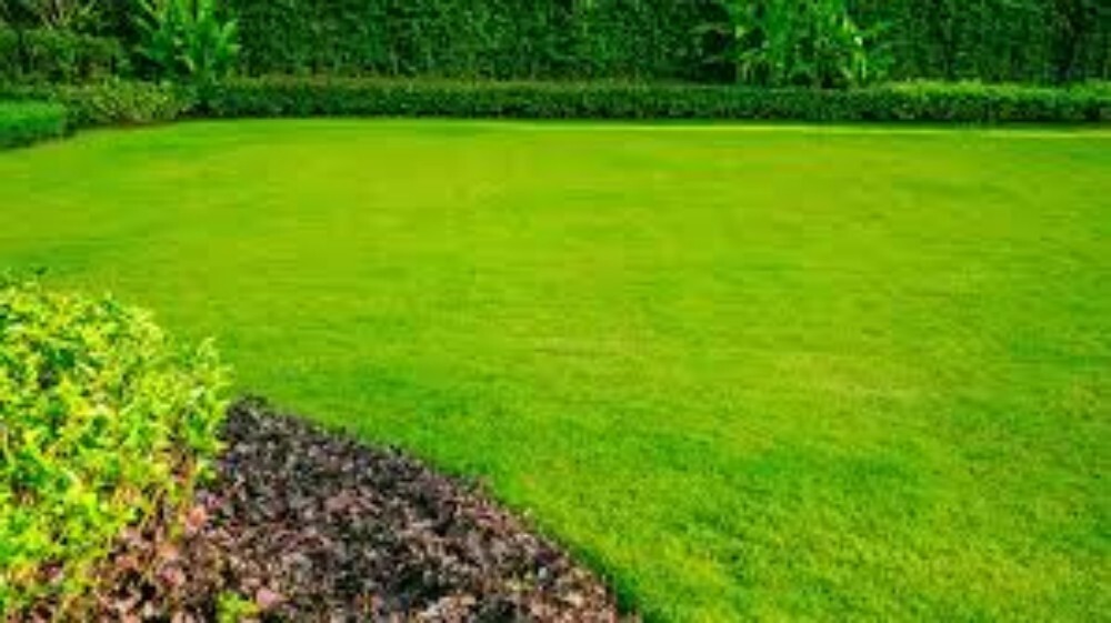 12mm Lawn Natural Grass